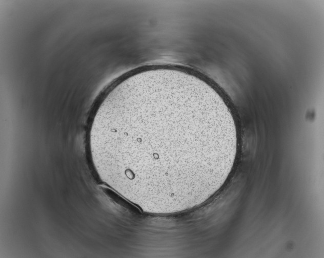 X0000100361356200807031828