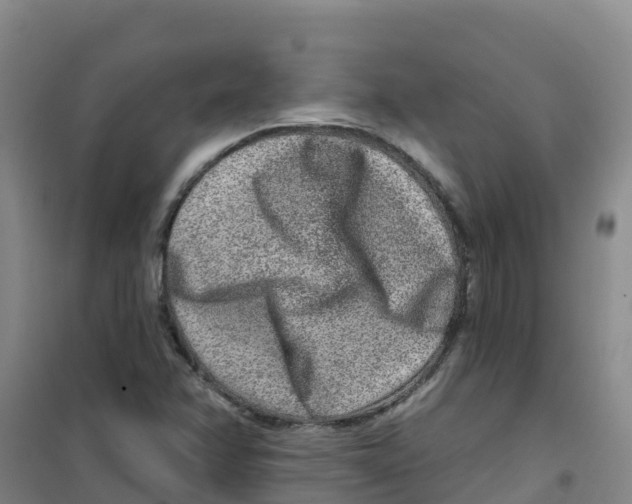 X0000100361358200807031828