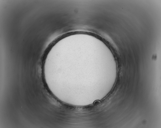 X0000100361360200807031828