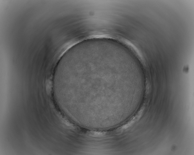 X0000100361361200807031828