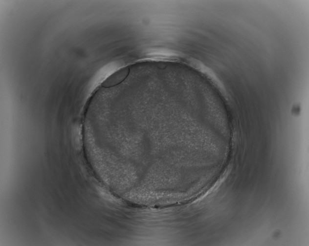 X0000100361362200807031828