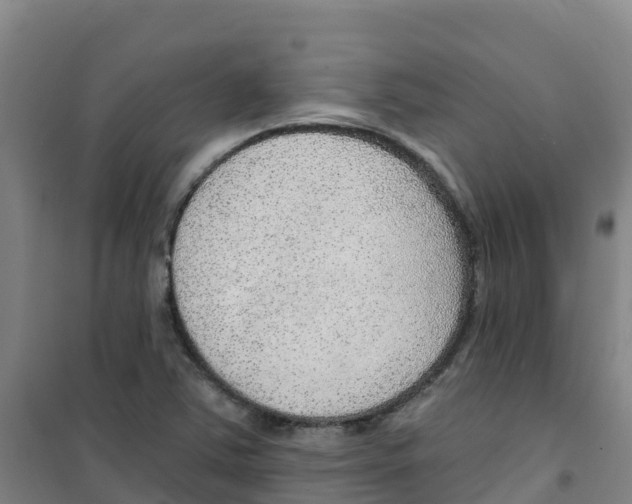 X0000100361363200807031828