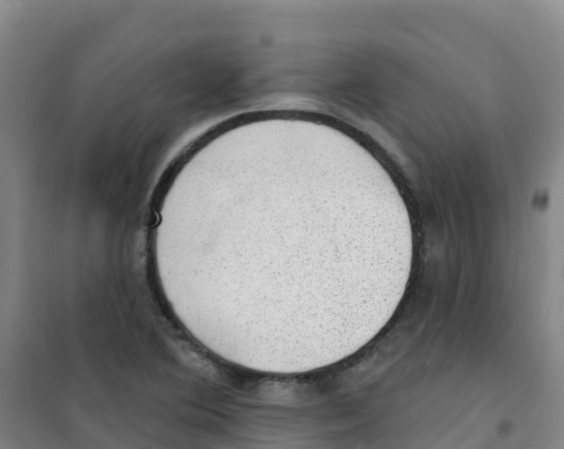 X0000100361364200807031828