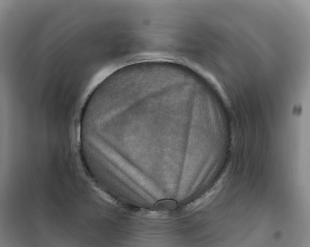 X0000100361365200807031828