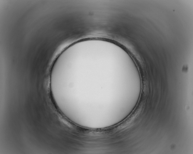 X0000100361366200807031828