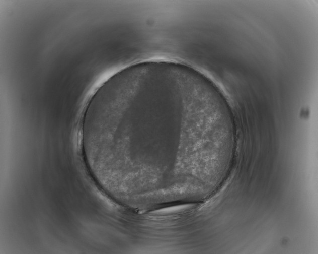 X0000100361367200807031828