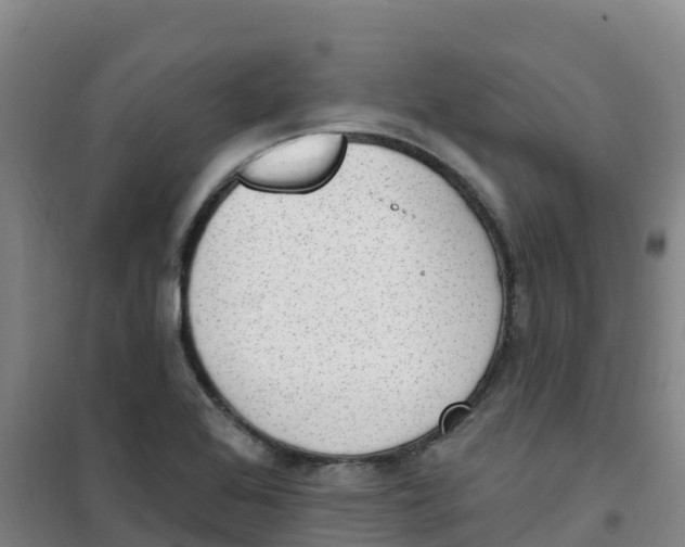 X0000100361368200807031828