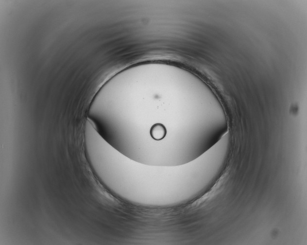 X0000100361369200807031828