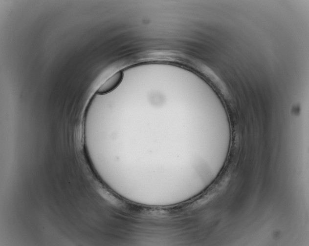 X0000100361370200807031828