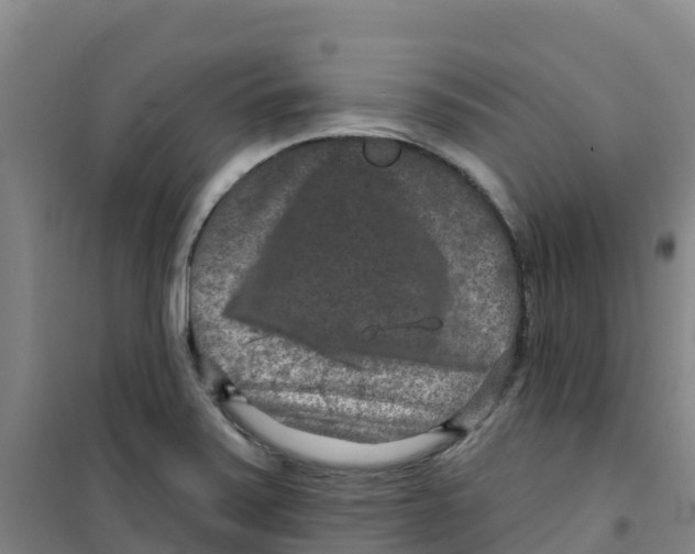 X0000100361371200807031828