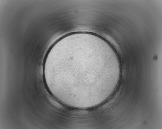 X0000100361372200807031828