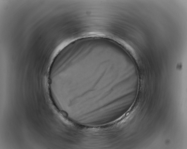 X0000100361373200807031828