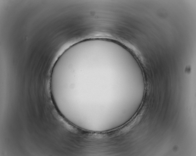 X0000100361374200807031828