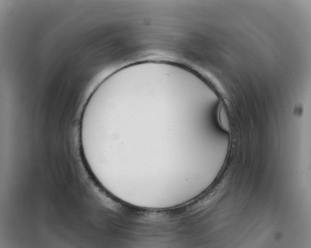 X0000100361375200807031828