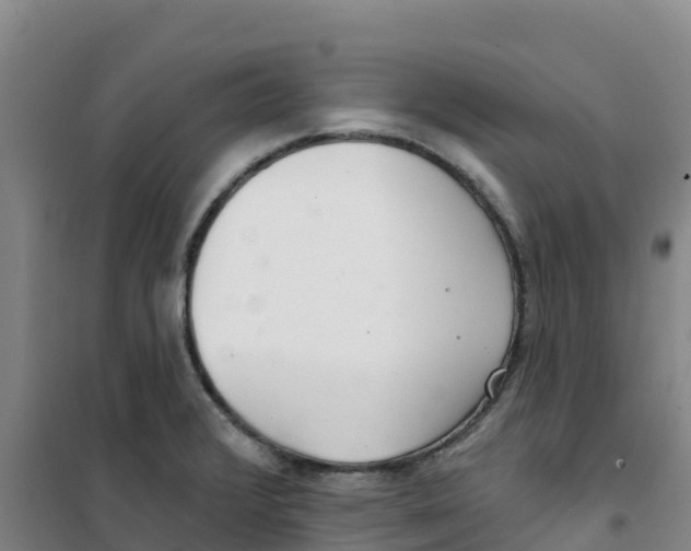 X0000100361376200807031828