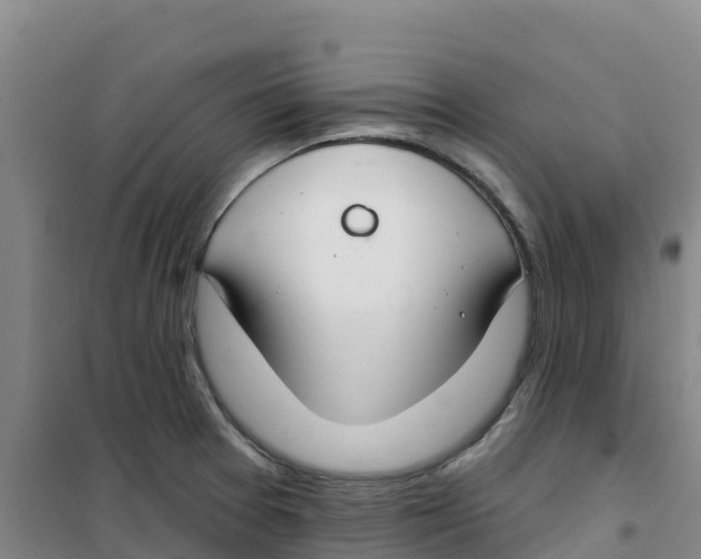 X0000100361377200807031828