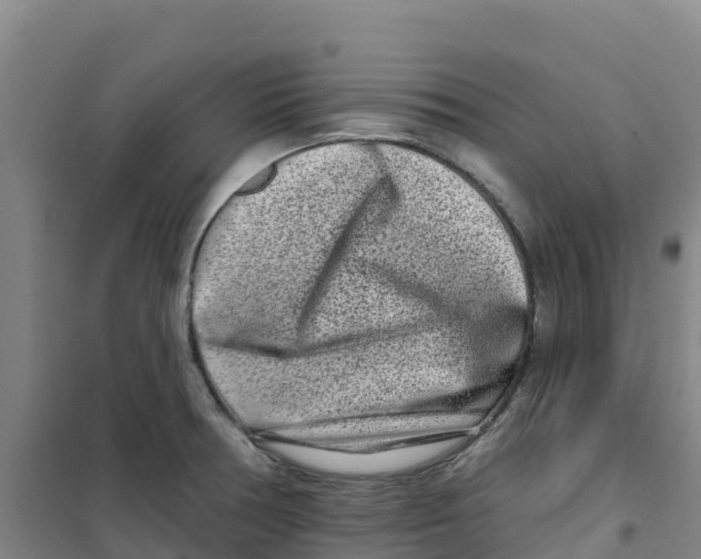 X0000100361378200807031828