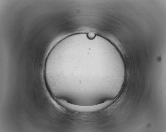 X0000100361379200807031828