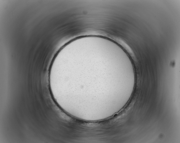 X0000100361380200807031828