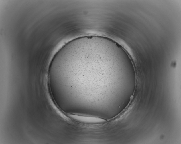X0000100361381200807031828