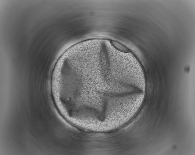 X0000100361382200807031828