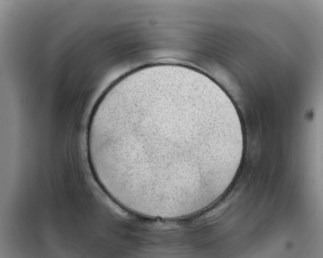 X0000100361384200807031828