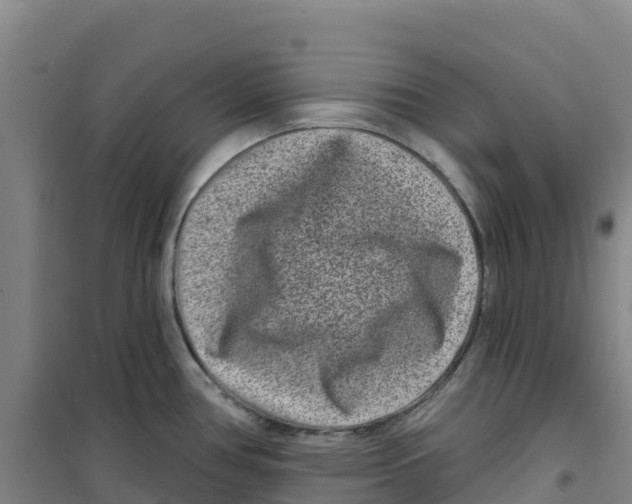 X0000100361386200807031828