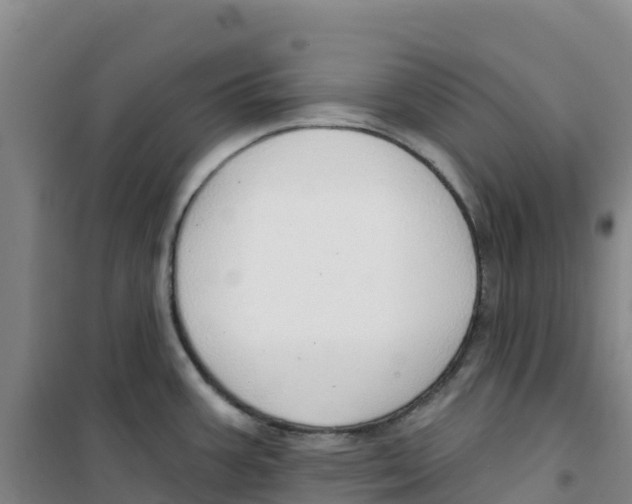 X0000100361387200807031828