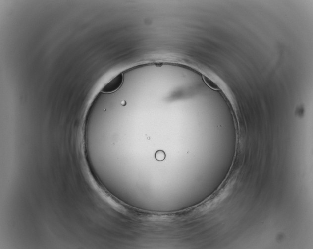 X0000100361389200807031828