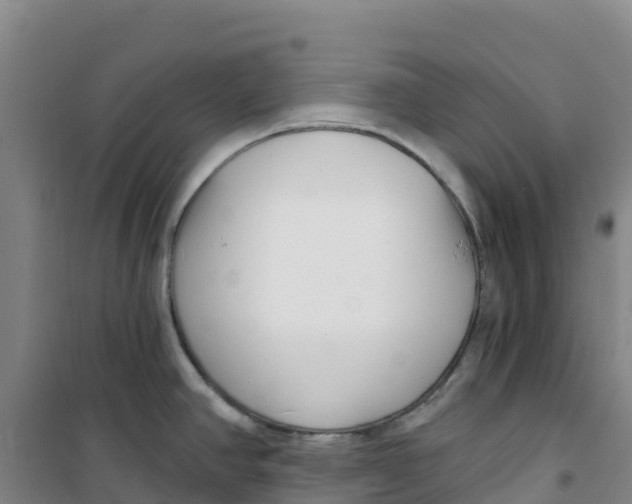 X0000100361390200807031828