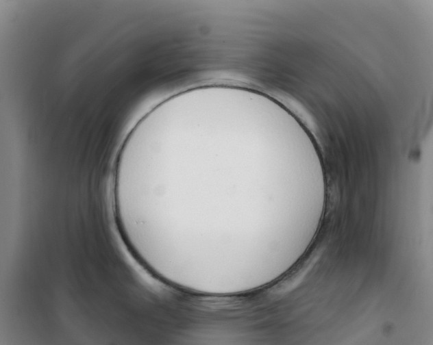 X0000100361391200807031828
