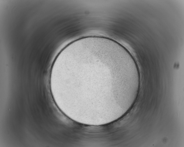 X0000100361392200807031828