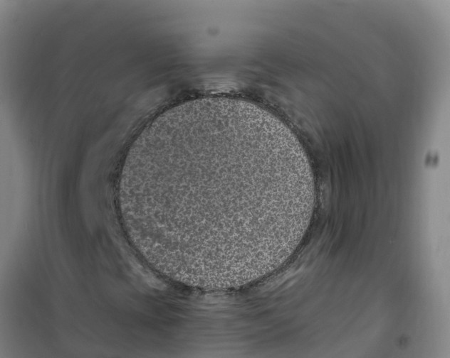 X0000100361393200807031827