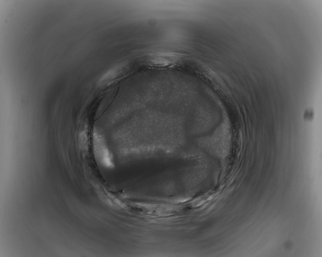 X0000100361394200807031827