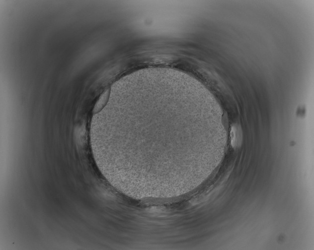 X0000100361395200807031827