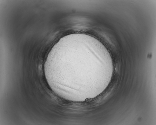 X0000100361396200807031827