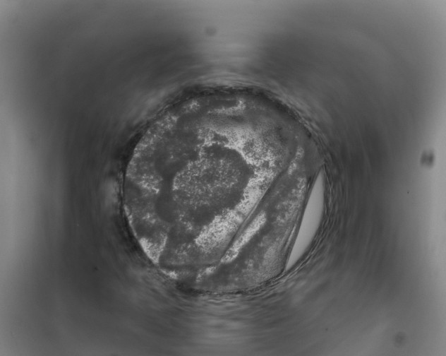 X0000100361397200807031827