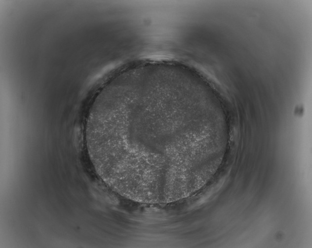 X0000100361398200807031827