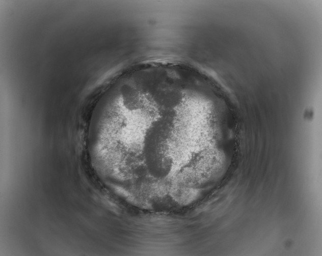 X0000100361399200807031827