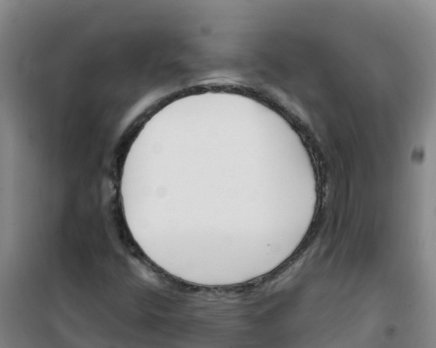 X0000100361400200807031827