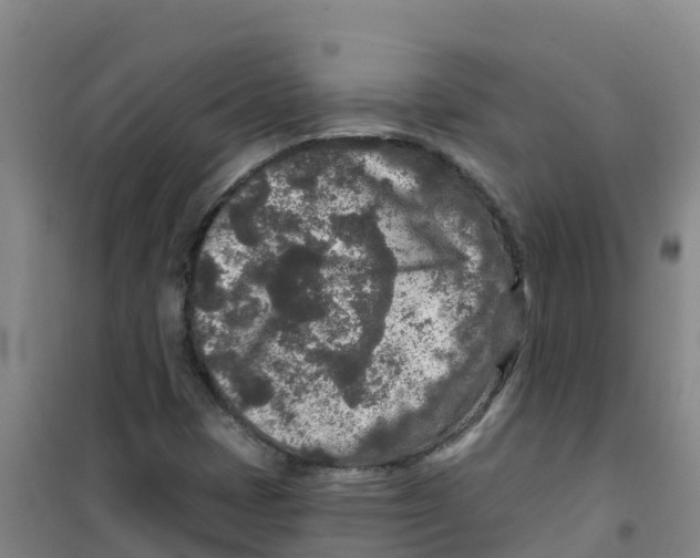 X0000100361401200807031827