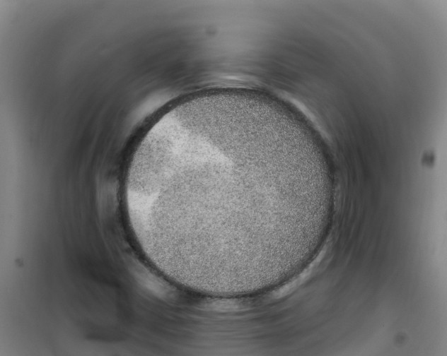 X0000100361402200807031827