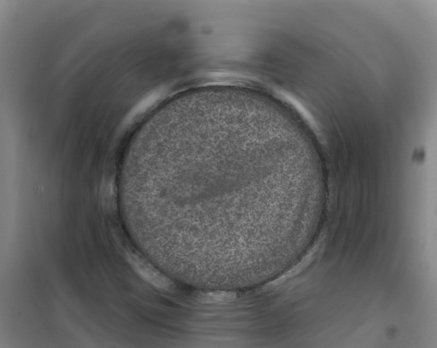 X0000100361403200807031827