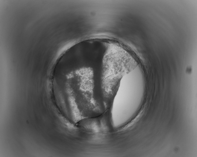 X0000100361405200807031827