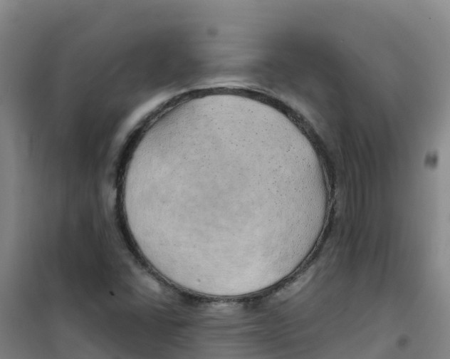 X0000100361406200807031827