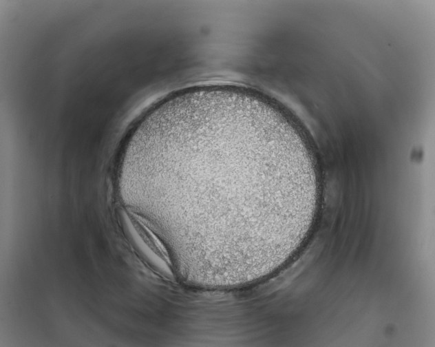 X0000100361407200807031827