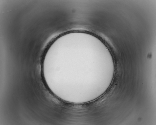 X0000100361408200807031827