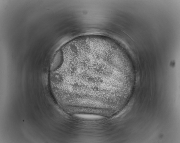 X0000100361409200807031827