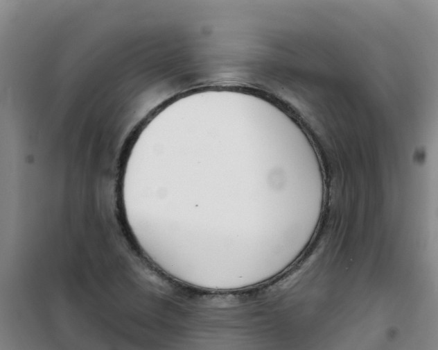 X0000100361410200807031827