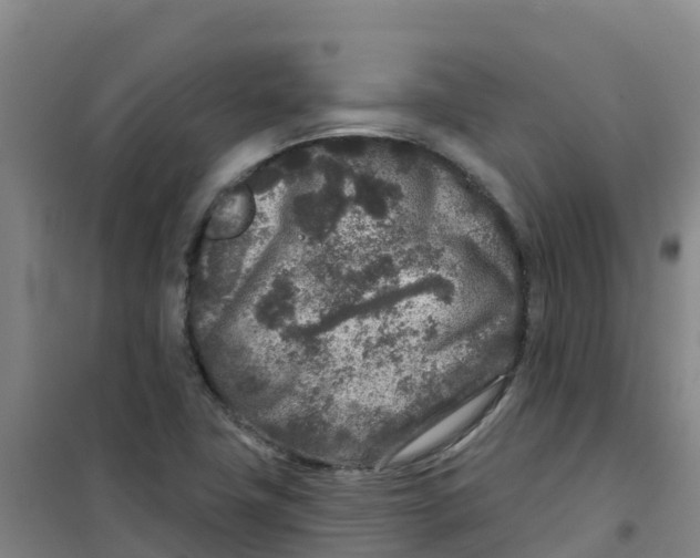 X0000100361411200807031827